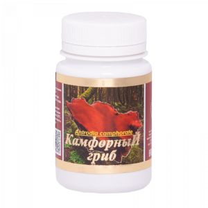 Камфорный гриб (Antrodia camphorata)