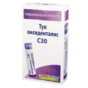 ТУЯ ОКСИДЕНТАЛИС C30